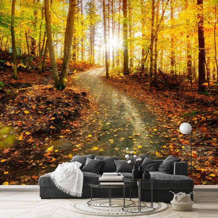 کاغذ دیواری جنگل پاییزی ba-5830