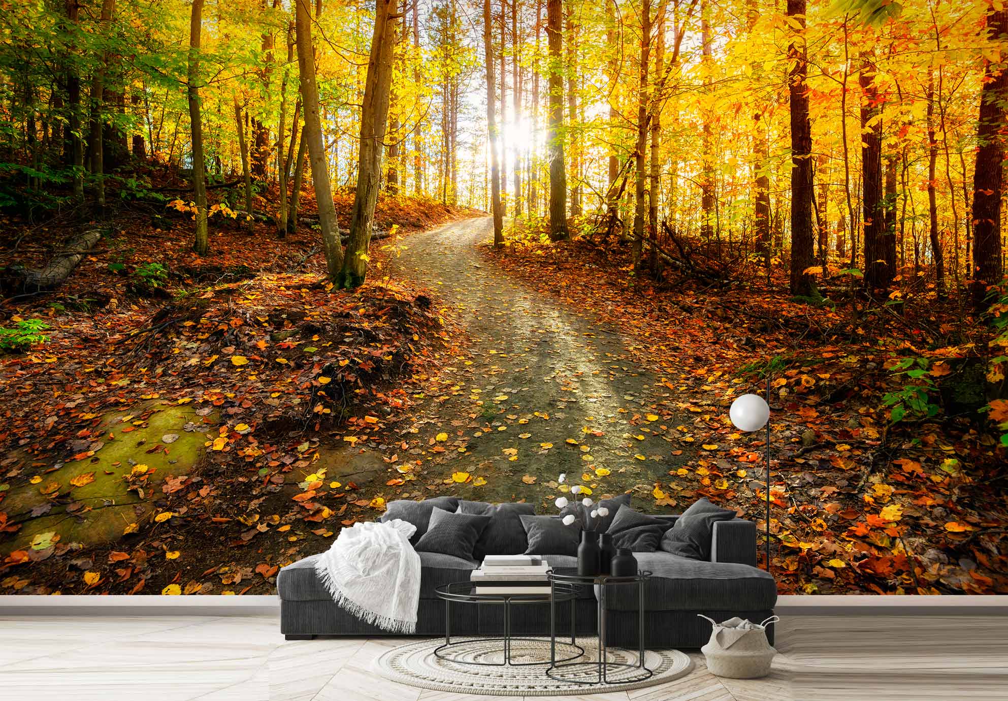 کاغذ دیواری جنگل پاییزی ba-5830