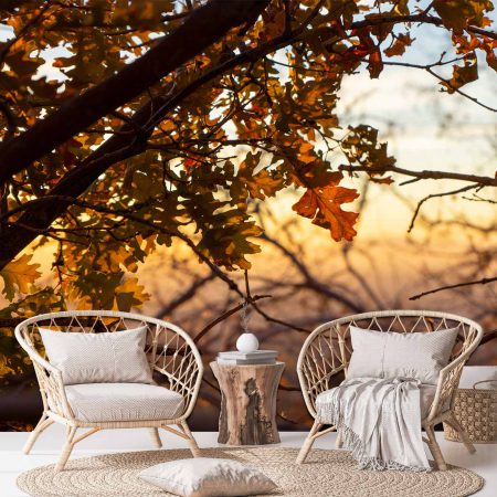 پوستر دیواری غروب پاییزی ba-5839