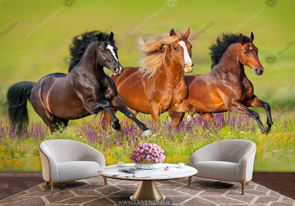 پوستر دیواری طرح اسب های وحشی