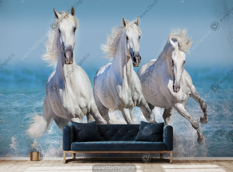 پوستر دیواری اسب های سفید در حال تاخت در ساحل دریا