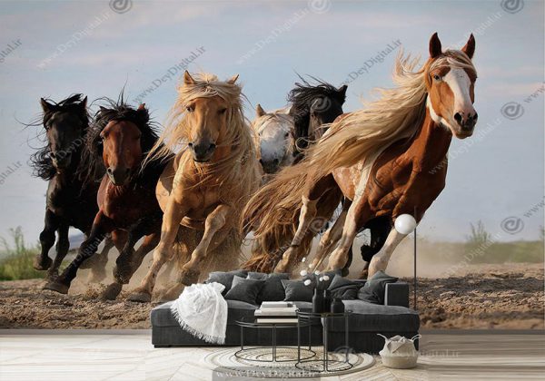 پوستر سه بعدی اسب