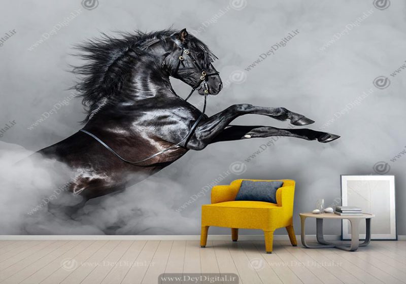 پوستر سه بعدی اسب وحشی سیاه