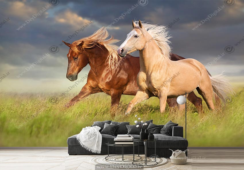 کاغذ دیواری سه بعدی طرح دو اسب زیبا در منظره سبز