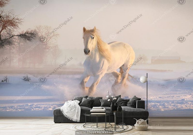 پوستر دیواری اسب سفید وجشی