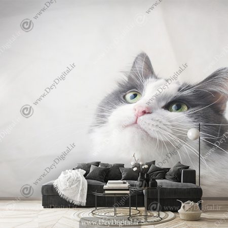 پوستر دیواری سه بعدی طرح گربه