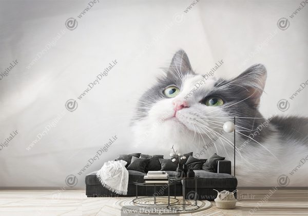 پوستر دیواری سه بعدی طرح گربه