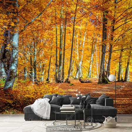 پوستر طبیعت پاییزی