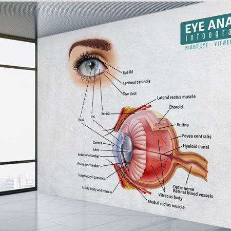 پوستر دیواری قرنیه چشم برای مطب چشم پزشکی