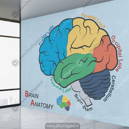 پوستر دیواری برای مطب دکتر مغز و اعصاب