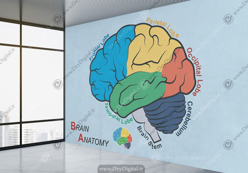 پوستر دیواری برای مطب دکتر مغز و اعصاب