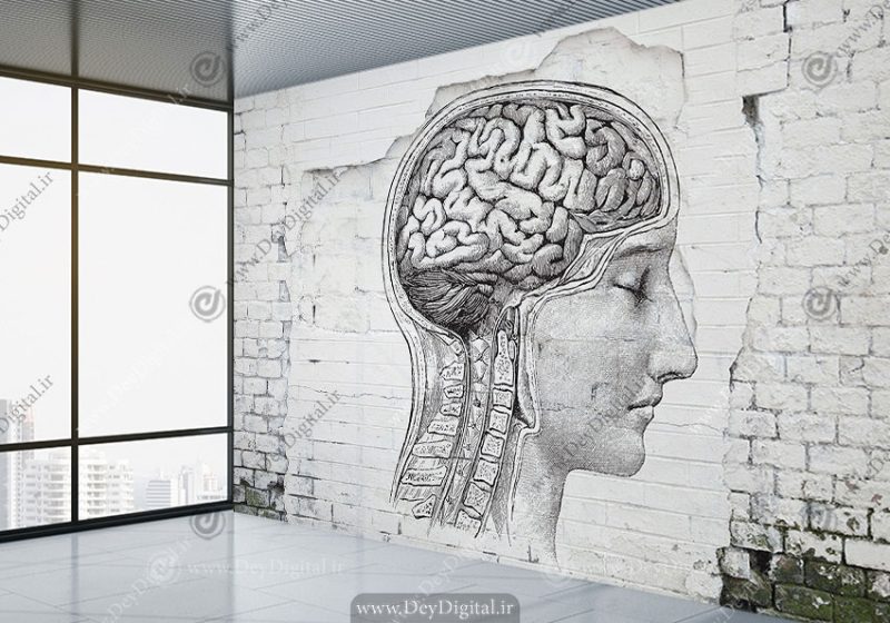پوستر دیواری سه بعدی طرح نورولوژی