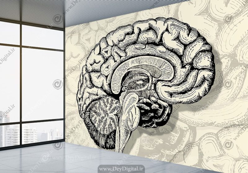 پوستر دیواری سه بعدی طرح مغز انسان