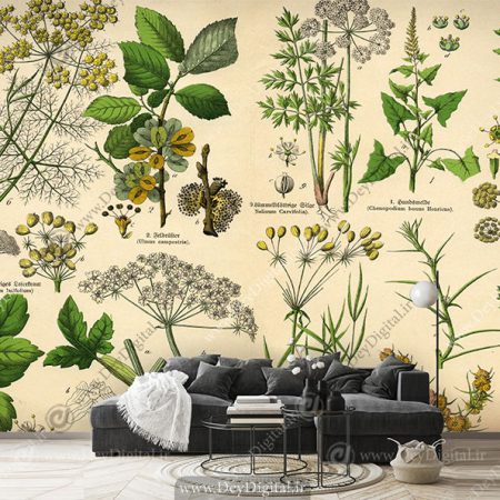 پوستر دیواری طرح دارو های گیاهی