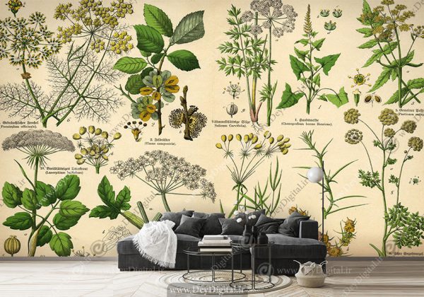 پوستر دیواری طرح دارو های گیاهی