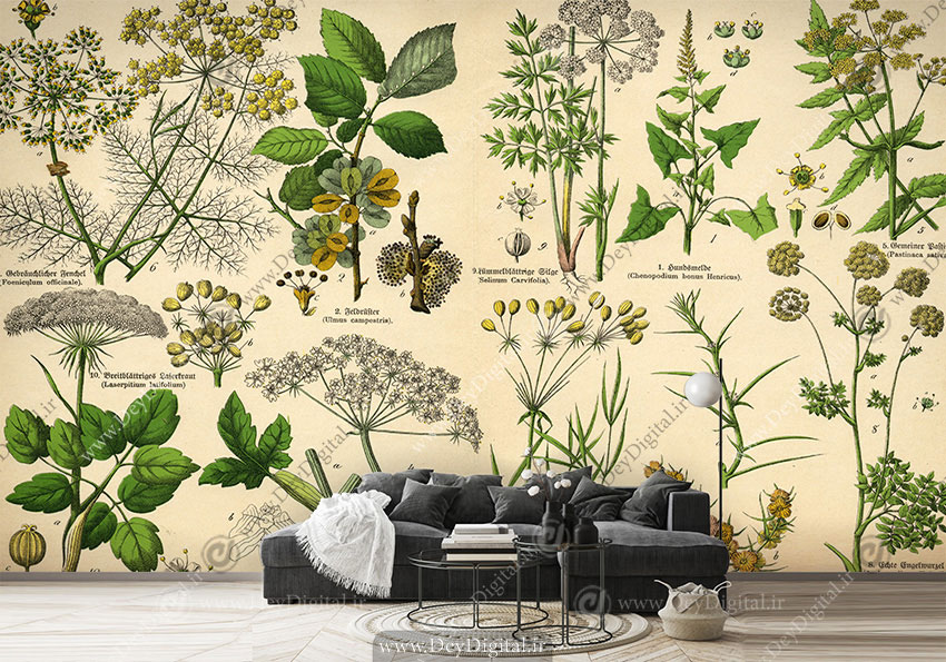 پوستر دیواری طرح دارو های گیاهی