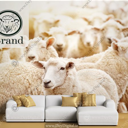 پوستر دیواری سه بعدی برای طباخی