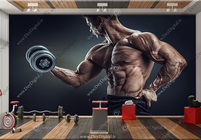 وستر حرفه ای بدنسازی
