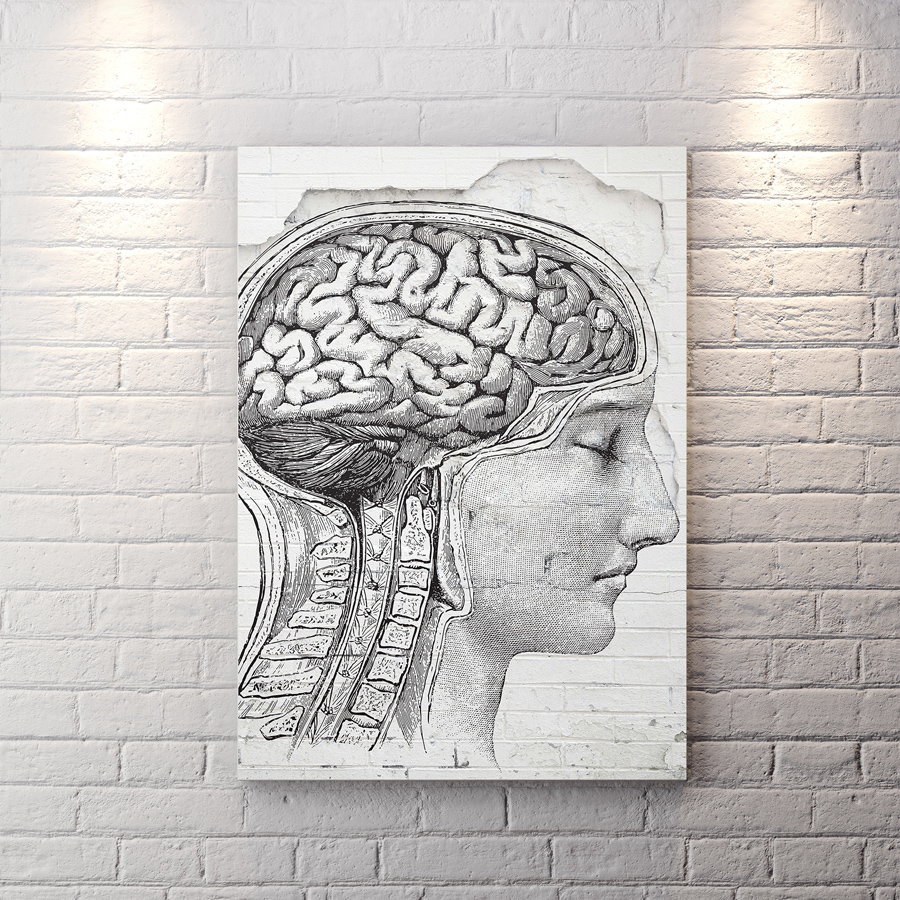 تخته شاسی دکوراتیو برای مرکز روانشناسی