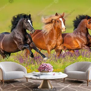 پوستر دیواری طرح اسب های وحشی