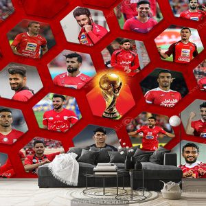 کاغذ دیواری سه بعدی اتاق پسر طرح پرسپولیس