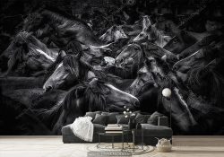 کاغذ دیواری سه بعدی اسب های مشکی