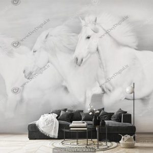 پوستر اسب دونده سفید