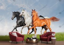 پوستر سه بعدی اسب های وحشی