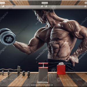وستر حرفه ای بدنسازی