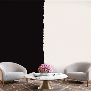 پوست ردیواری ساده سفید مشکی