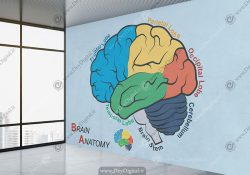 پوستر دیواری برای مطب دکتر مغز و اعصاب