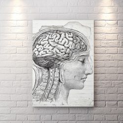 تخته شاسی دکوراتیو برای مرکز روانشناسی