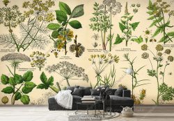 پوستر دیواری طرح دارو های گیاهی
