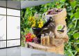 پوستر دیواری طرح گیاهان دارویی برای طب سنتی