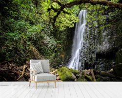 پوستر دیواری جنگل و آبشار زیبا