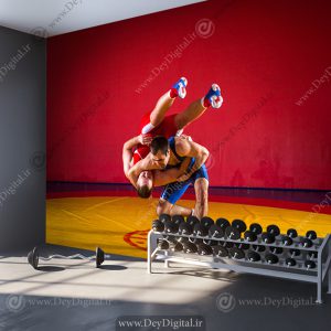 پوستر دیواری سه بعدی برای باشگاه کشتی