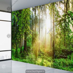 کاغذ دیواری سه بعدی طبیعت طرح طلوع آفتاب در جنگل
