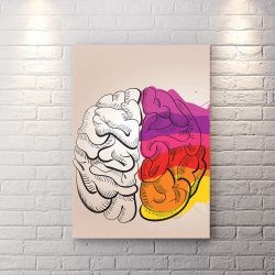 تخته شاسی برای کلینیک روانشناسی