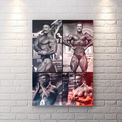 تخته شاسی باشگاه بدنسازی