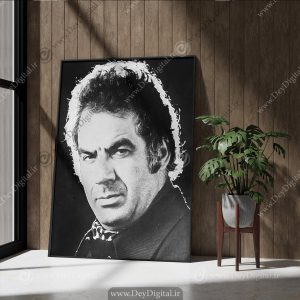 تابلو فریم دار ناصر ملک مطیعی