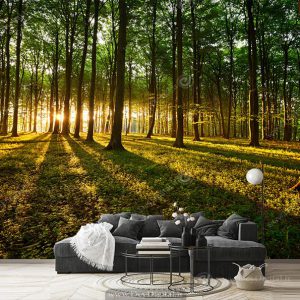 کاغذ دیواری سه بعدی منظره طبیعت ba-2330