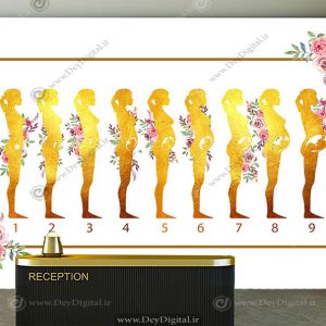 پوستر دیواری سه بعدی کلینیک بارداری
