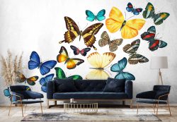 پوستر دیواری پروانه های رنگی ba-5811