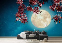 کاغذ دیواری ماه در اسمان شب ba-5863