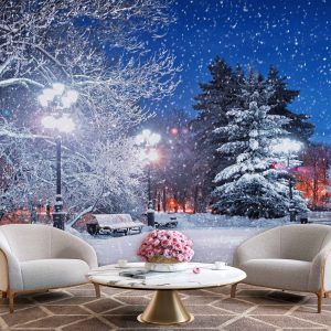 پوستر دیواری منظره برفی در شب ba-5940