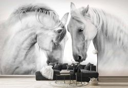 پوستر دیواری اسب سفید ba-6001