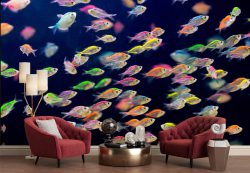پوستر دیواری ماهی های رنگی ba-6040